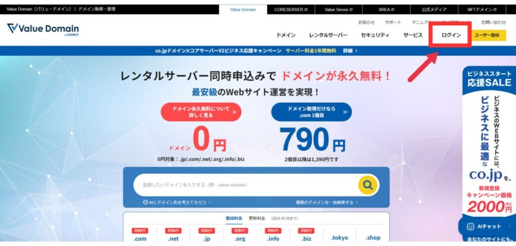 バリュードメインDNS設定画面-1