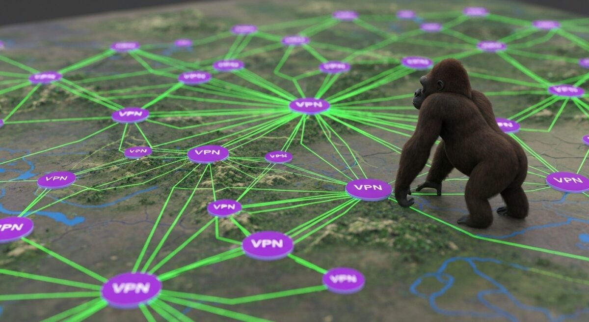 VPN　IPアドレスのネットワーク